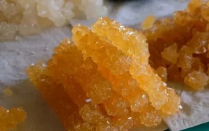 خرید و قیمت روز شاخه نبات ساده